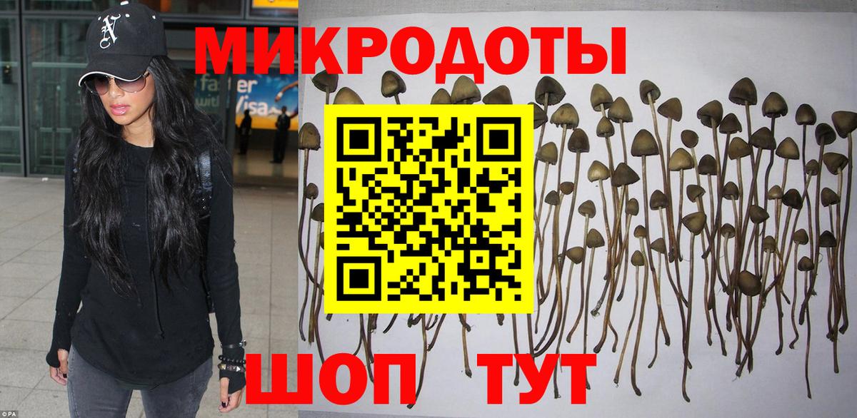 Псилоцибиновые грибы ЛСД Сунжа