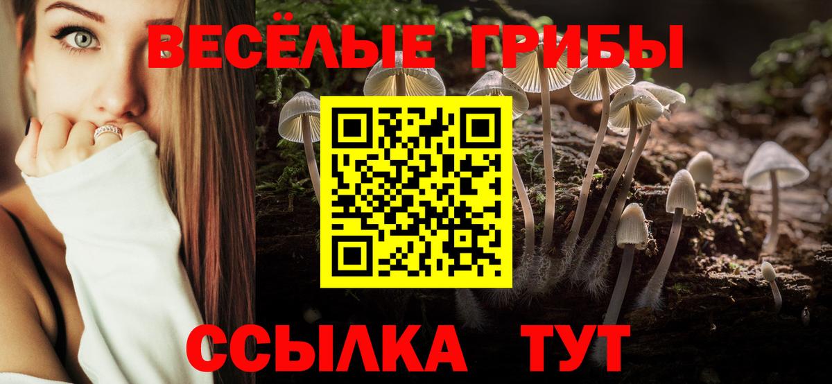 Галлюциногенные грибы GOLDEN TEACHER  Вход с VPN  Сунжа 